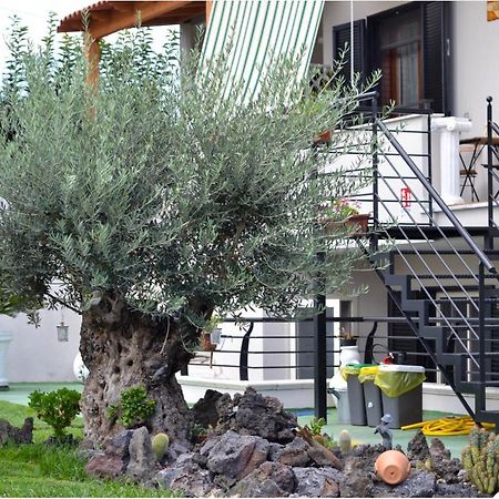 Pompei Gryllus Bed and Breakfast Eksteriør billede