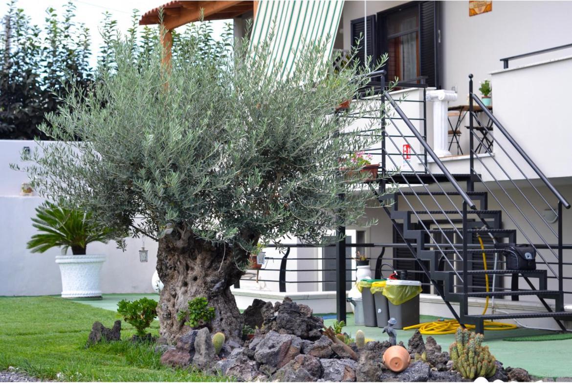 Pompei Gryllus Bed and Breakfast Eksteriør billede